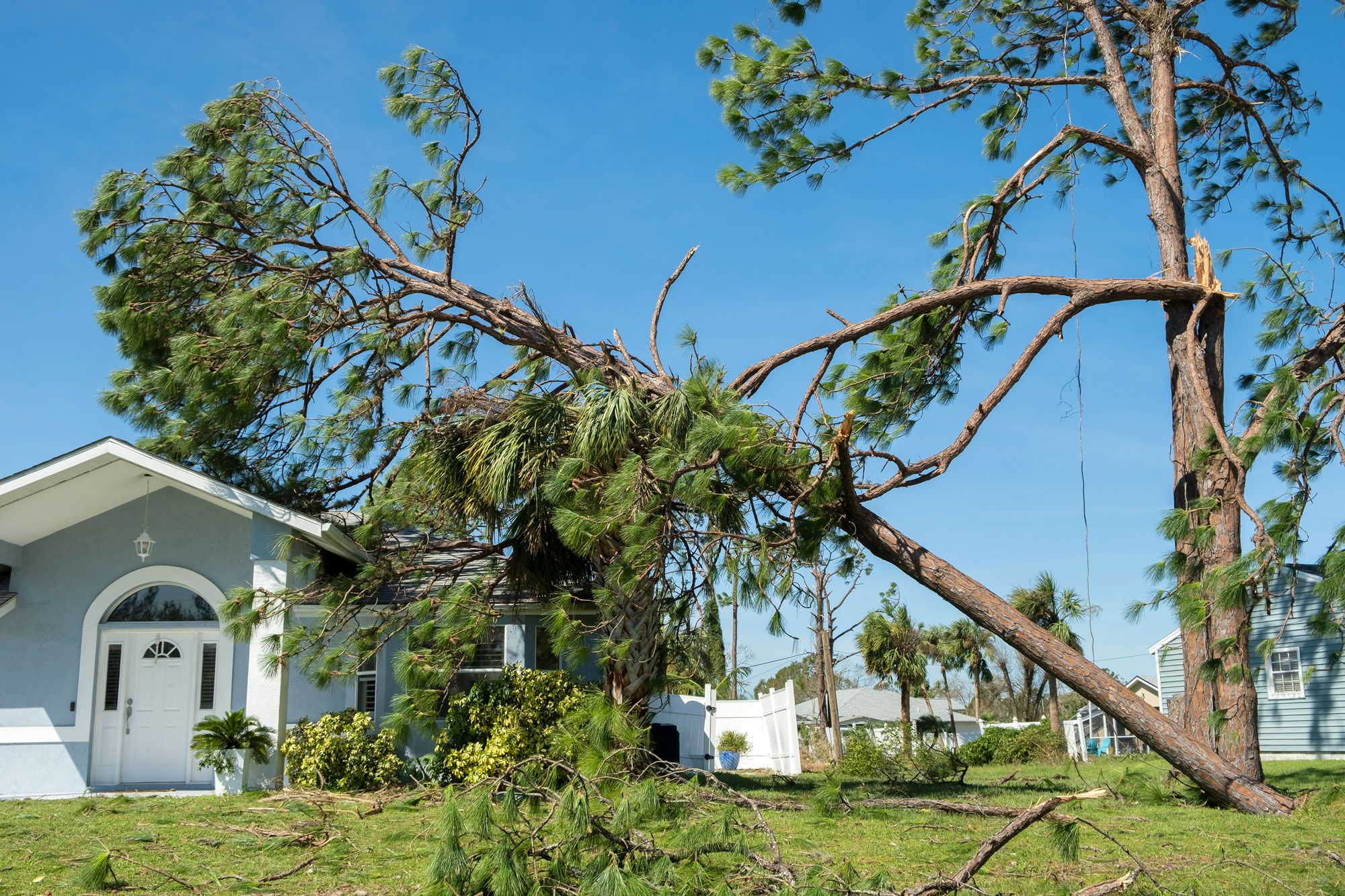hurricane damage house roof florida fallen down big tree after tropical storm winds consequences natural disaster web